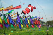 Kite festivals draw crowds in Jammu, Samba