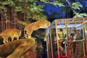 Mumbai's Byculla Zoo to reopen for visitors on Nov 1